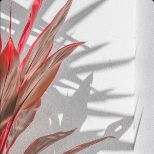 Meet your Posher, Roman